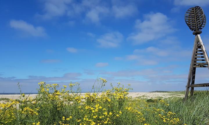 Strandcafe Seeblick